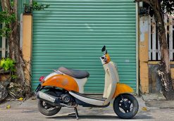 Scoopy 50 for rent 3